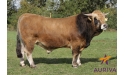 HERITIER - Aubrac