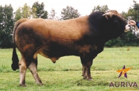 JLANDAIS - Aubrac