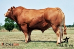 SALVETAT