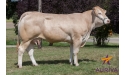 JUILLA fille d'ENVOL
