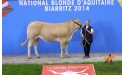 ISABELLE, fille d'ARAMIS, 2ème prix de section, EARL DU RELAIS (81)