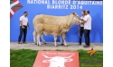 GUYANE, fille de BERLIOZ, 2eme prix de section,  SCA ARSICAUD (17)