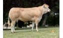 4104, fille de HENAN