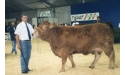 EPSON - Limousin