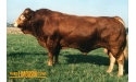 EPSON - Limousin