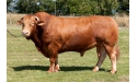 ESA - Limousin